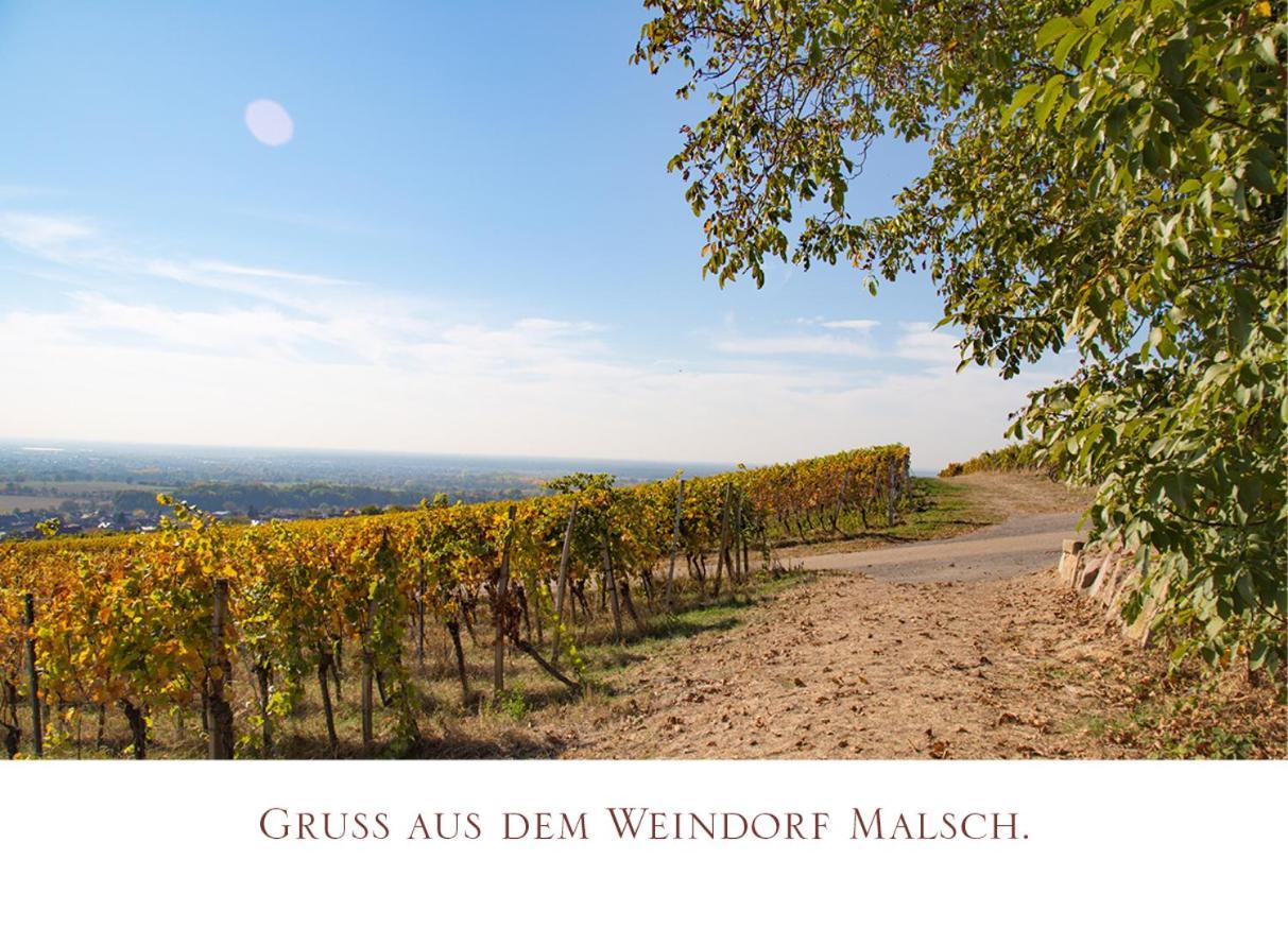 Gasthaus Zur Rose Malsch  Zewnętrze zdjęcie